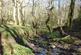 Additional image 6 of Meandering Copse, Stocksfield, Northumberland NE42