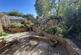 Additional image 21 of Elm Close, Tudhoe Village, County Durham, DL16