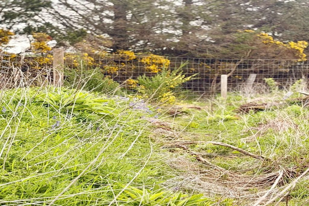 Land for salePlot At, Maud Croft, Redmoss, Drybridge, Buckie AB565Jd AB56 photo 4
