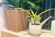 Additional image 25 of Hogshaw Villas Road, Buxton, SK17