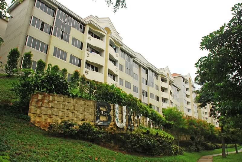 Additional image 9 of 1 Upper Bukit Timah View