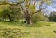 Additional image 21 of The Glebe, Penshurst, TN11