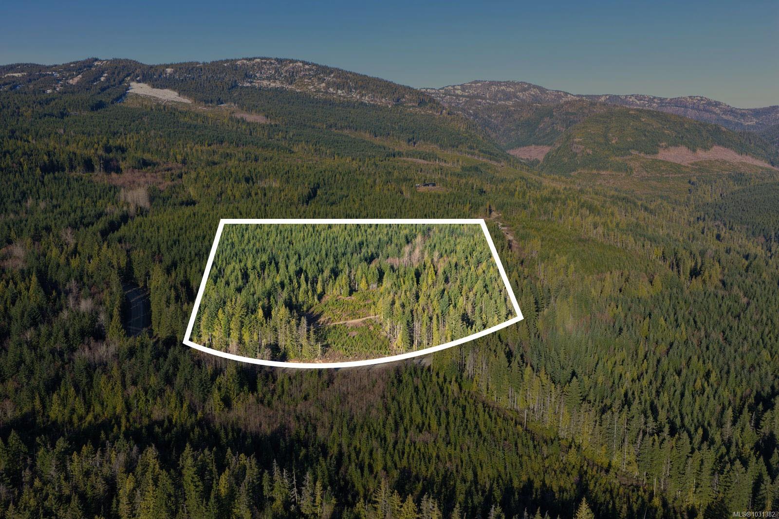 Additional image 5 of LOT B Forbidden Plateau Road, Courtenay, BC, V9J 1L2