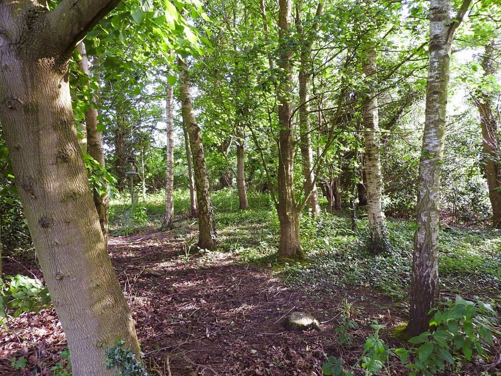 Additional image 19 of Land for saleUp To 10.25 Acres, Elvaston DE72