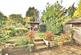Additional image 4 of Cinques Road, Gamlingay, Sandy