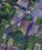Additional image 21 of Hilton Grove, Manchester M28
