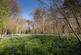 Additional image 31 of Rackheath, Norwich