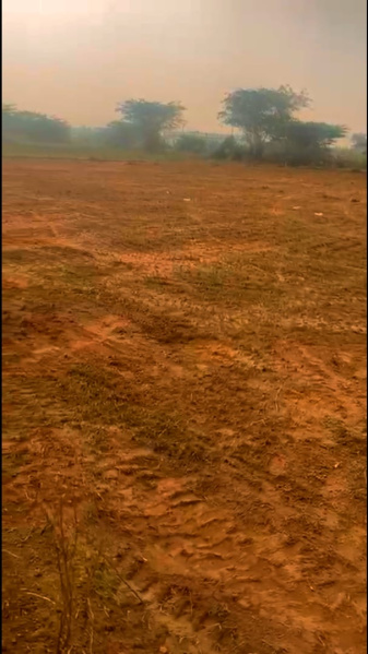 Additional image 3 of Vengal, Chennai