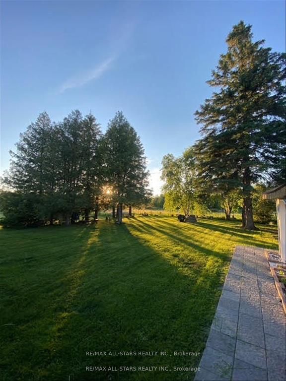 Additional image 3 of 220 Mcguire Beach Road, Kawartha Lakes, ON, K0M 2B0
