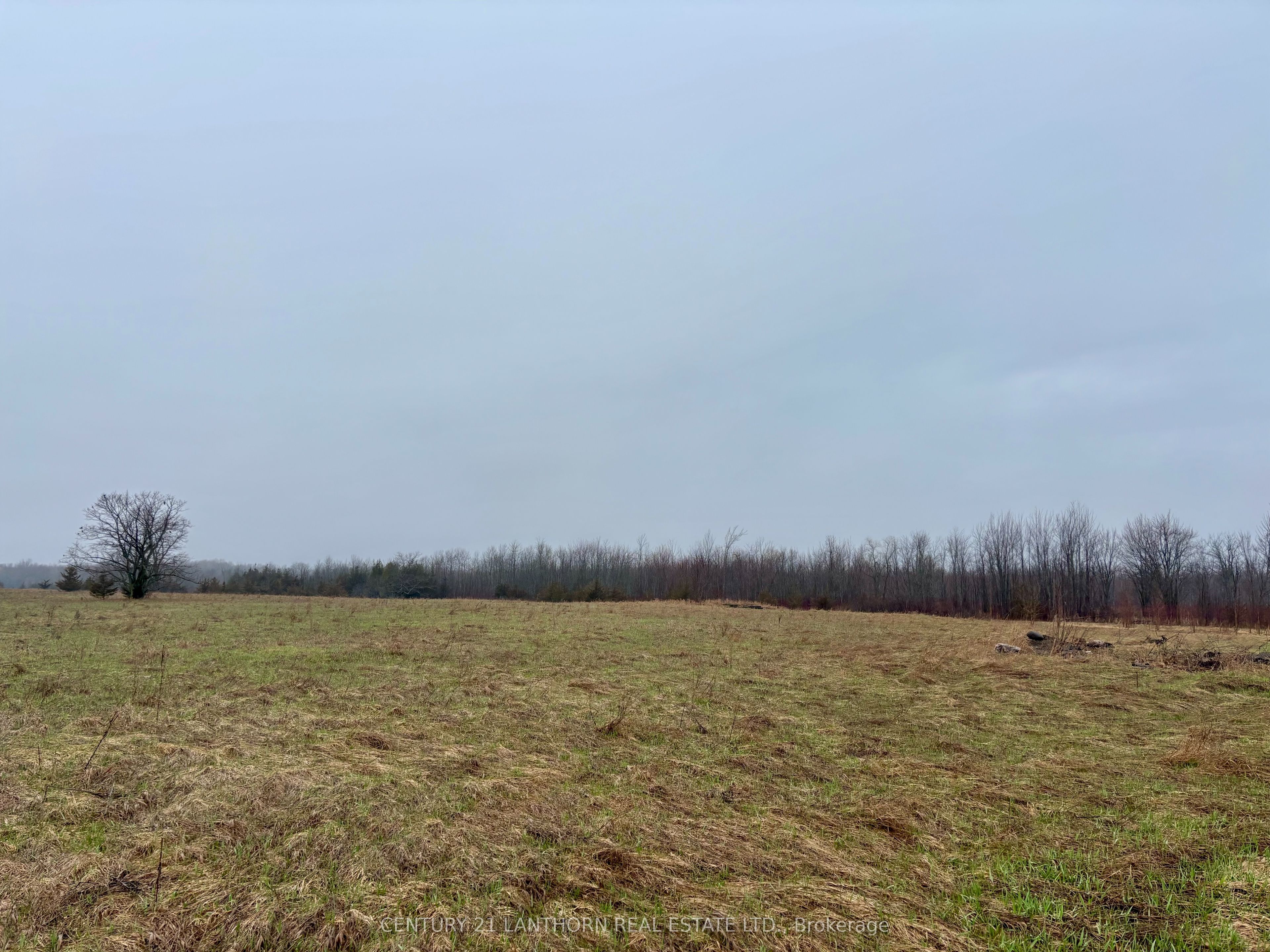 Additional image 4 of 00 Mitchells Cross Road, Prince Edward County, ON, K0K 2T0