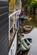 Additional image 59 of Swan Island,  Strawberry Vale, Twickenham TW1