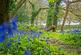 Additional image 23 of Old Bury Hill, Westcott, Dorking, Surrey, RH4