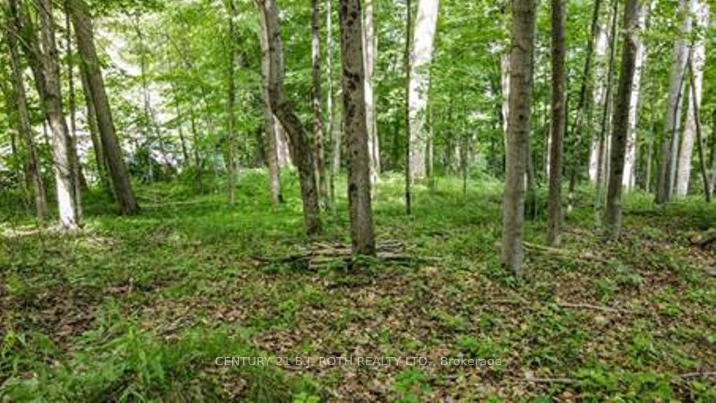 Additional image 3 of 7 Fern Lane, Essa, ON, L0M 1T0