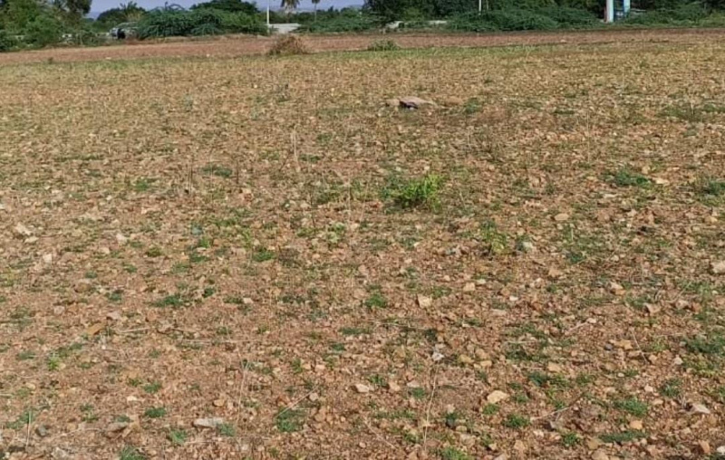 Additional image 2 of Avadi, Chennai
