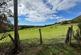 Additional image 21 of Woodlands Holiday Park, Bryncrug LL36