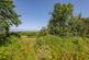 Additional image 5 of Spittal Hill, Kilmarnock KA1