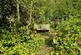 Additional image 20 of Hendon Wood Lane, Mill Hill, London, NW7