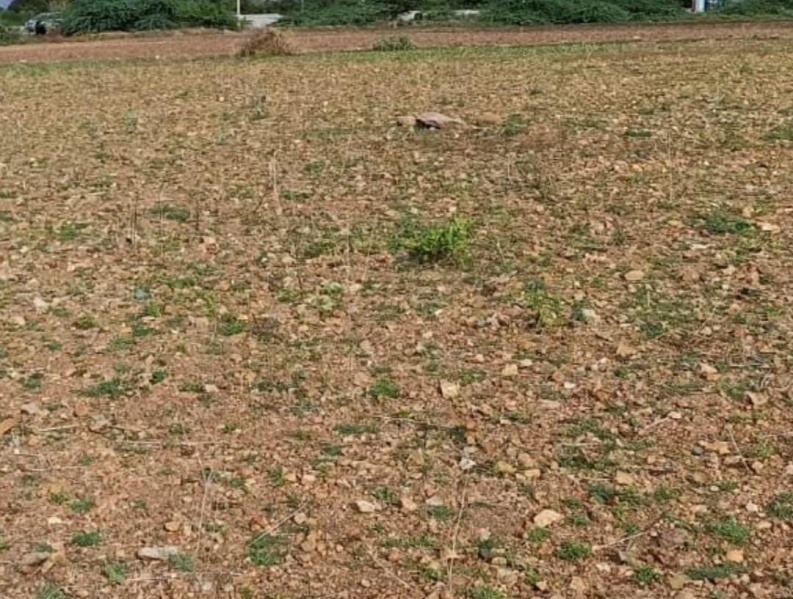 Additional image 3 of Avadi, Chennai