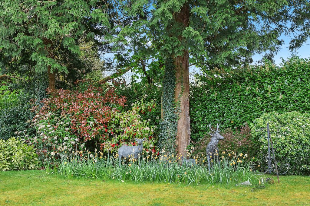 Additional image 6 of 5 bed detached house for saleRykens Lane, Betchworth, Surrey RH3