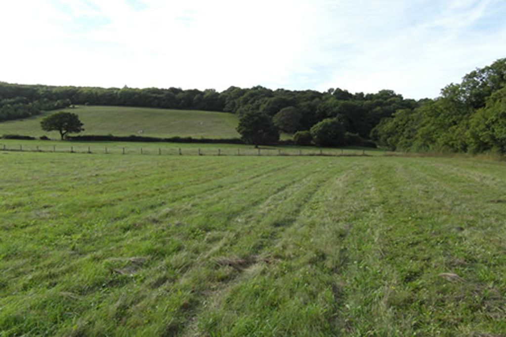 Additional image 7 of Land for salePlot D11, Milchden Blackness Lane, Keston, Bromley, London BR26Hl BR2
