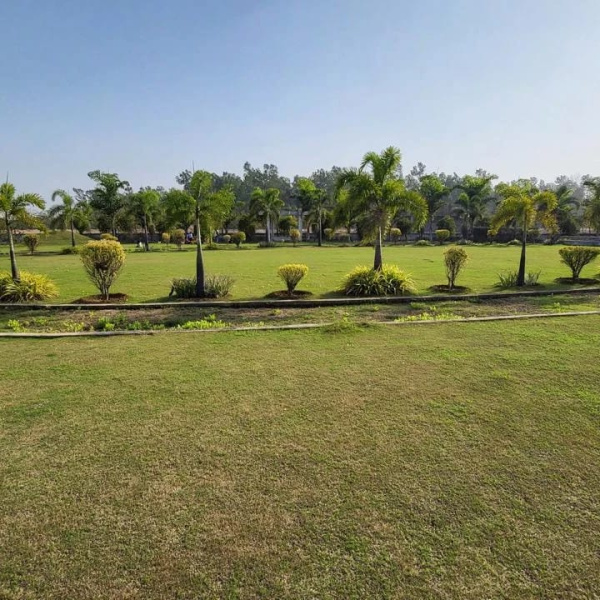 Additional image 2 of Nardaha, Raipur
