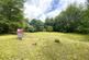 Additional image 13 of Bridle Road, Burton Joyce