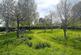 Additional image 29 of Mamhilad, Pontypool