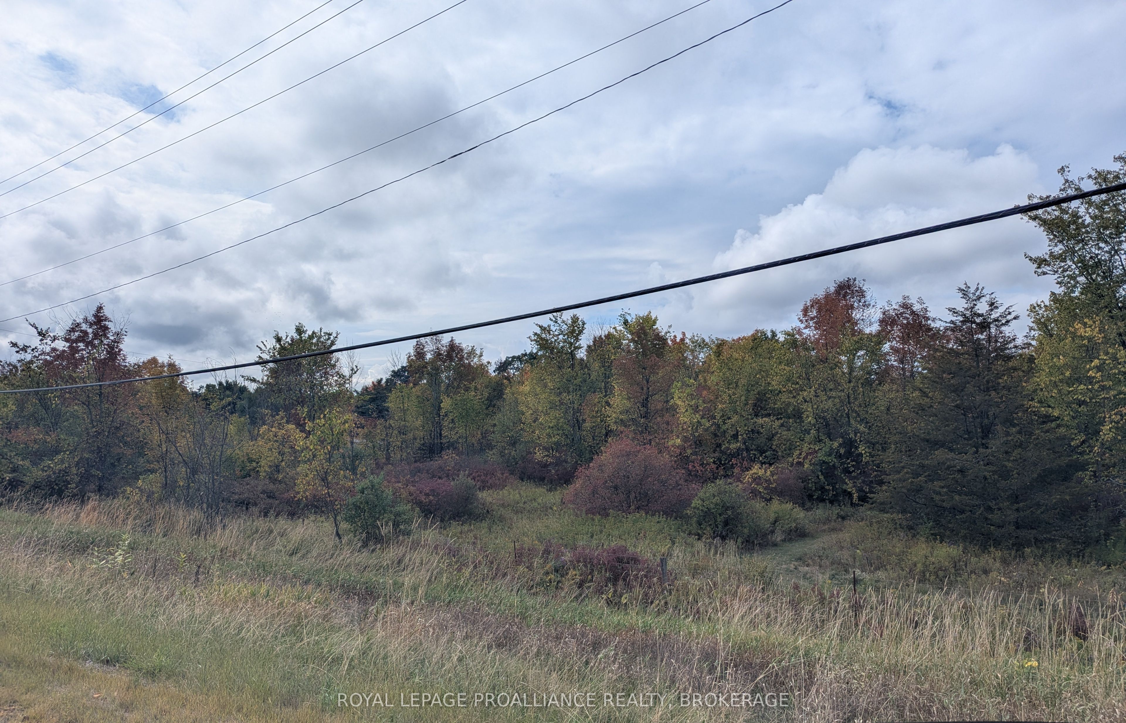 Additional image 3 of Lot 34 Leo Lake Road, Kingston, ON, K0H 2N0