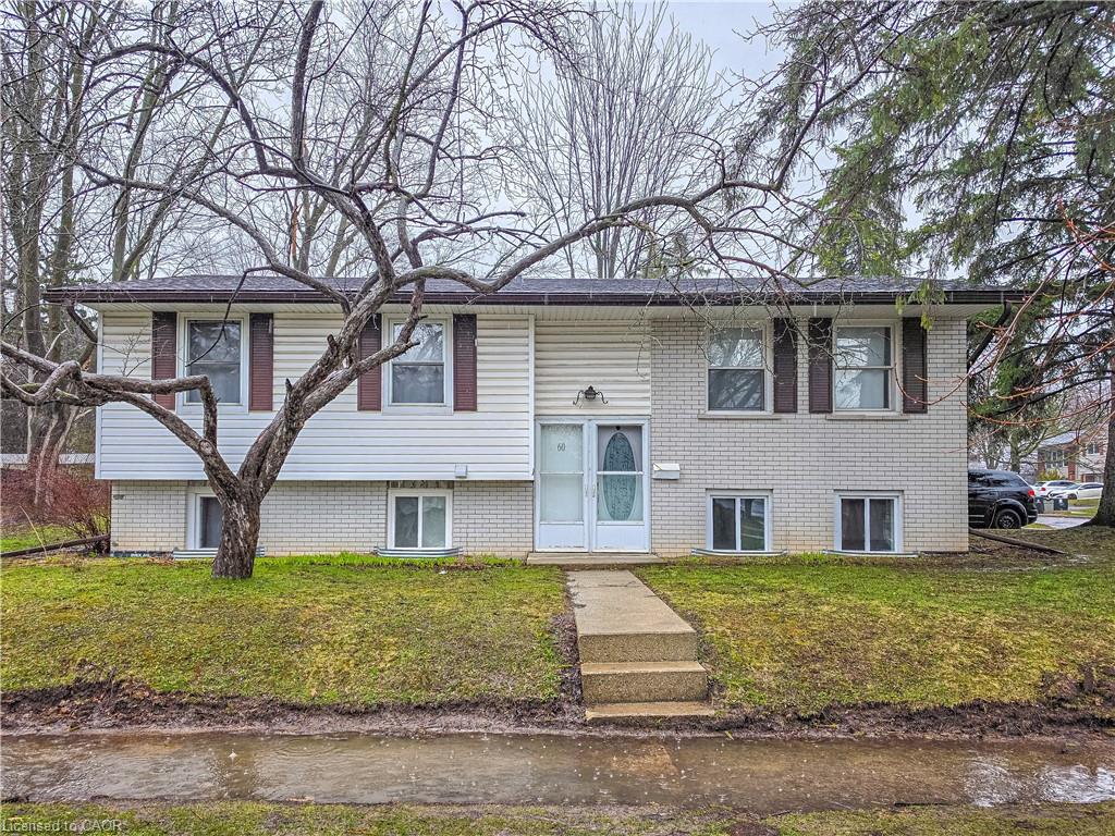 60 Austin Drive, Waterloo, ON, N2L 3Y4