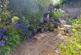 Additional image 24 of Kings Road, Bembridge, Isle of Wight, PO35 5NB