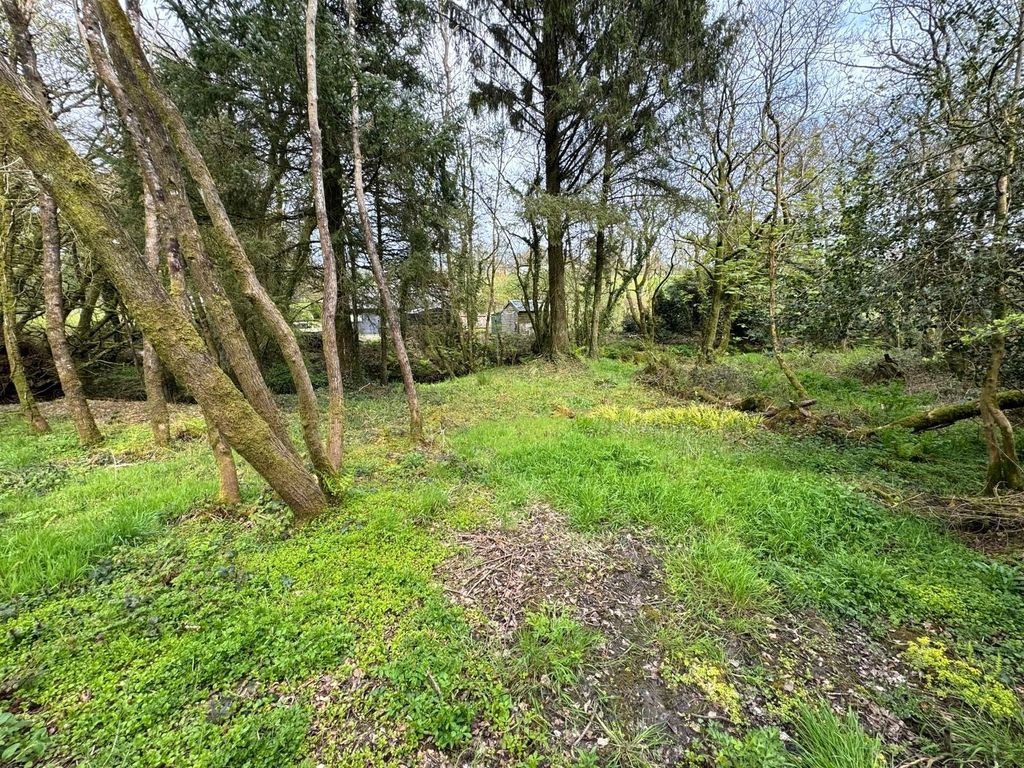 Additional image 9 of Land for saleBradworthy, Holsworthy, Devon EX22