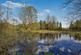 Additional image 22 of Raworth Park, Layham, Ipswich, Suffolk