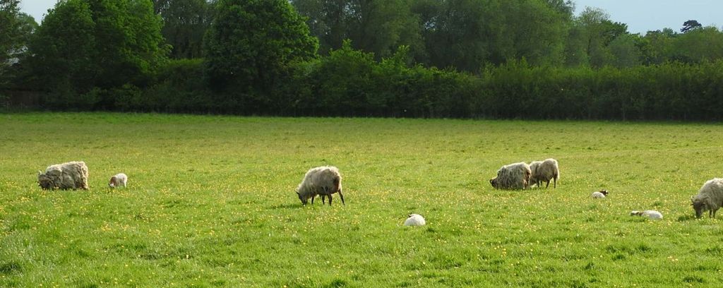 Additional image 13 of Land for saleUp To 10.25 Acres, Elvaston DE72