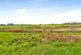 Additional image 24 of West Brook View, Emsworth, Hampshire