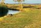 Additional image 10 of Steeple Bay Holiday Park, Canney Road, Southminster