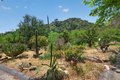 Additional image 44 of 8416 Wheeler Canyon Rd, Santa Paula, CA, 93060