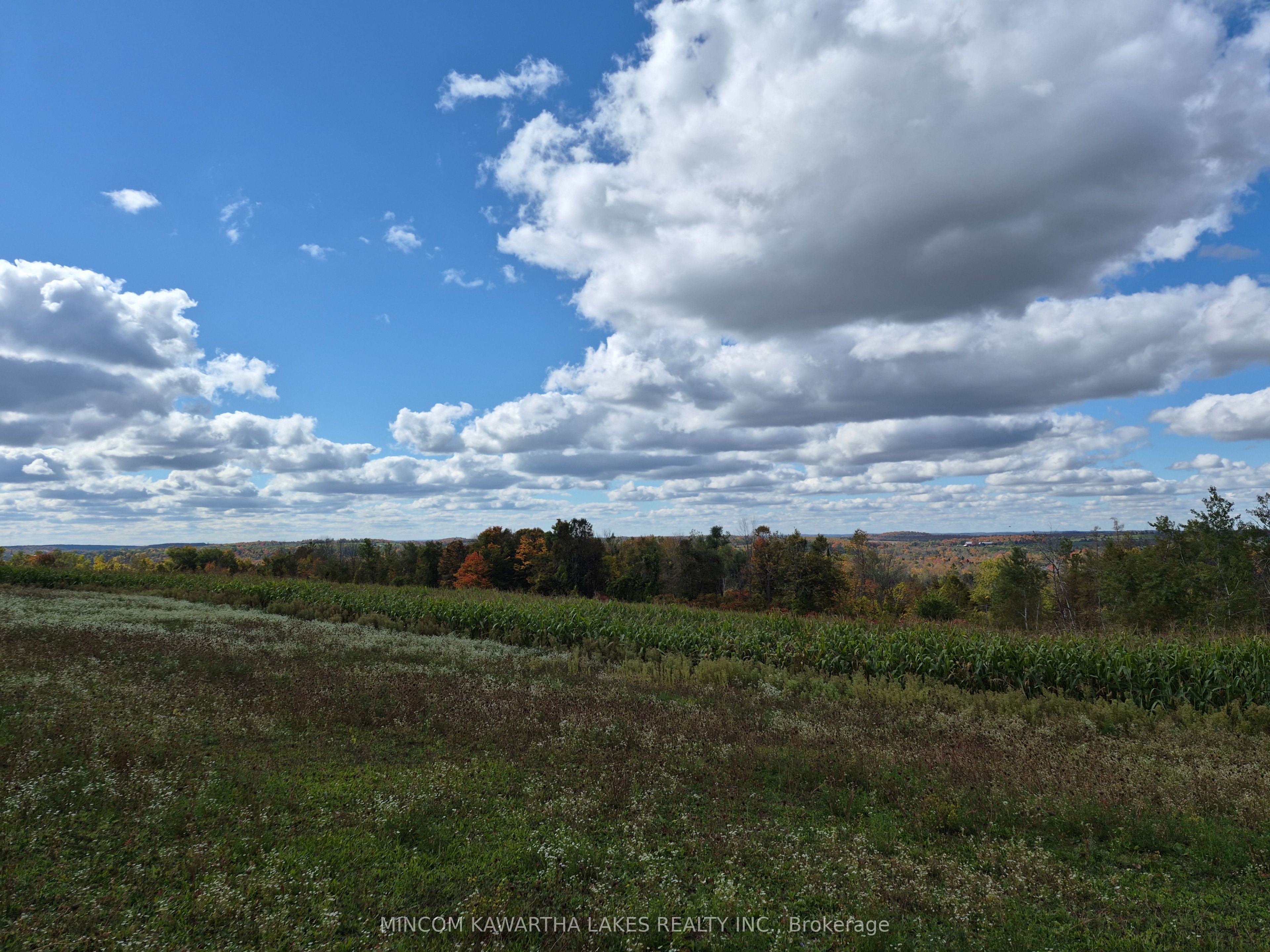Additional image 4 of PL 15 Base Line, Otonabee-south Monaghan, ON, K0L 2G0