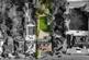 Additional image 41 of Lee Grove, Chigwell IG7