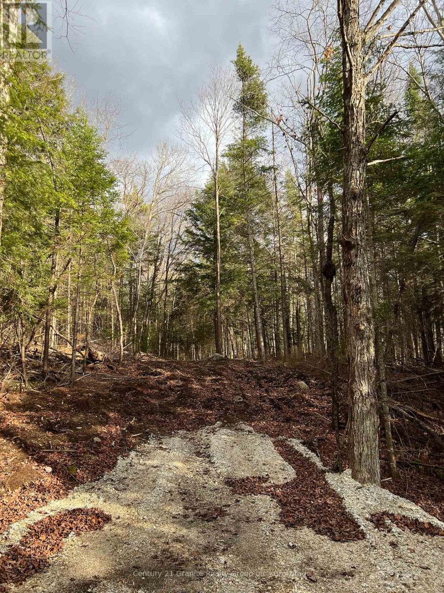 LOT 27 BUSHWOLF LAKE ROAD