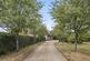 Additional image 15 of Shelley, Ipswich, Suffolk, IP7