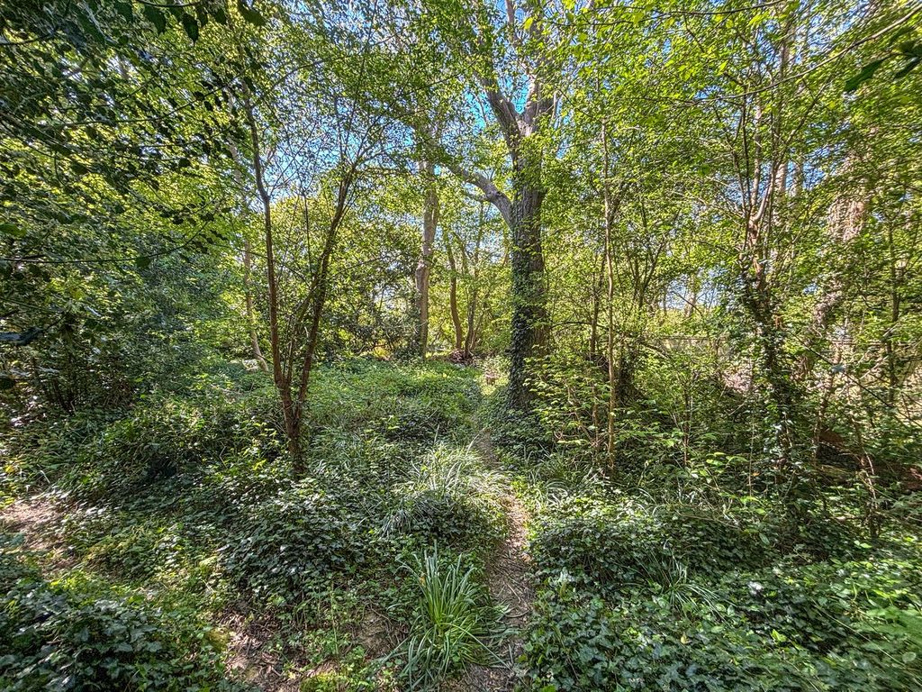 Additional image 13 of 3 bed detached house for sale11 North Trade Road, Battle TN33
