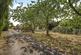 Additional image 50 of Stretham Road, Wilburton CB6