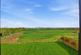 Additional image 4 of Benthill Farm, Buckingham MK18