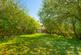 Additional image 7 of Ryecroft Road, London SW16