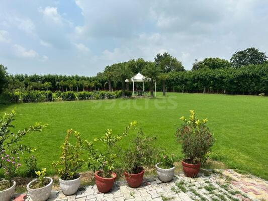 Chattarpur Extension, Chattarpur, Delhi