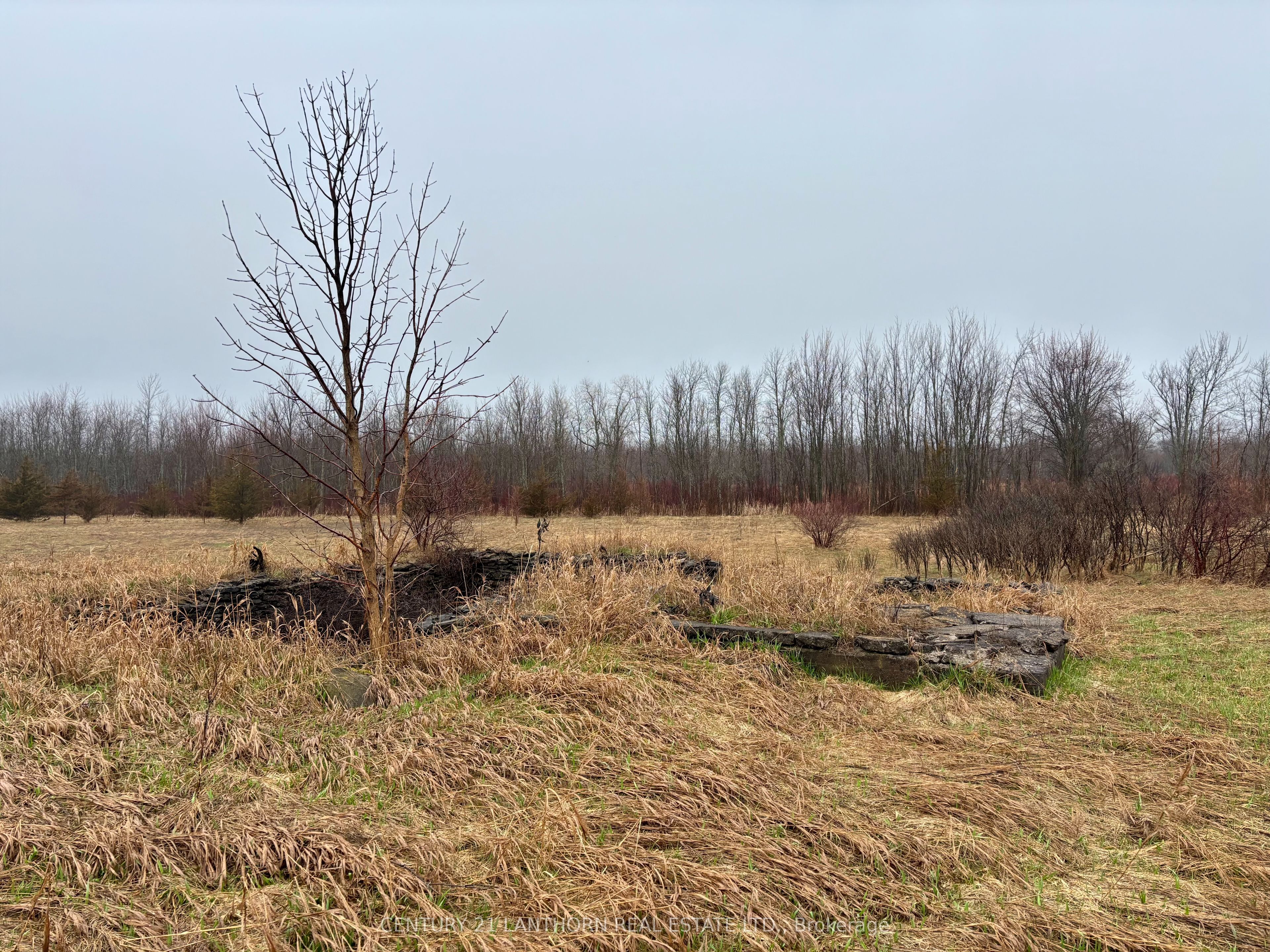 Additional image 6 of 00 Mitchells Cross Road, Prince Edward County, ON, K0K 2T0