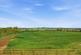 Additional image 31 of Benthill Farm, Buckingham MK18