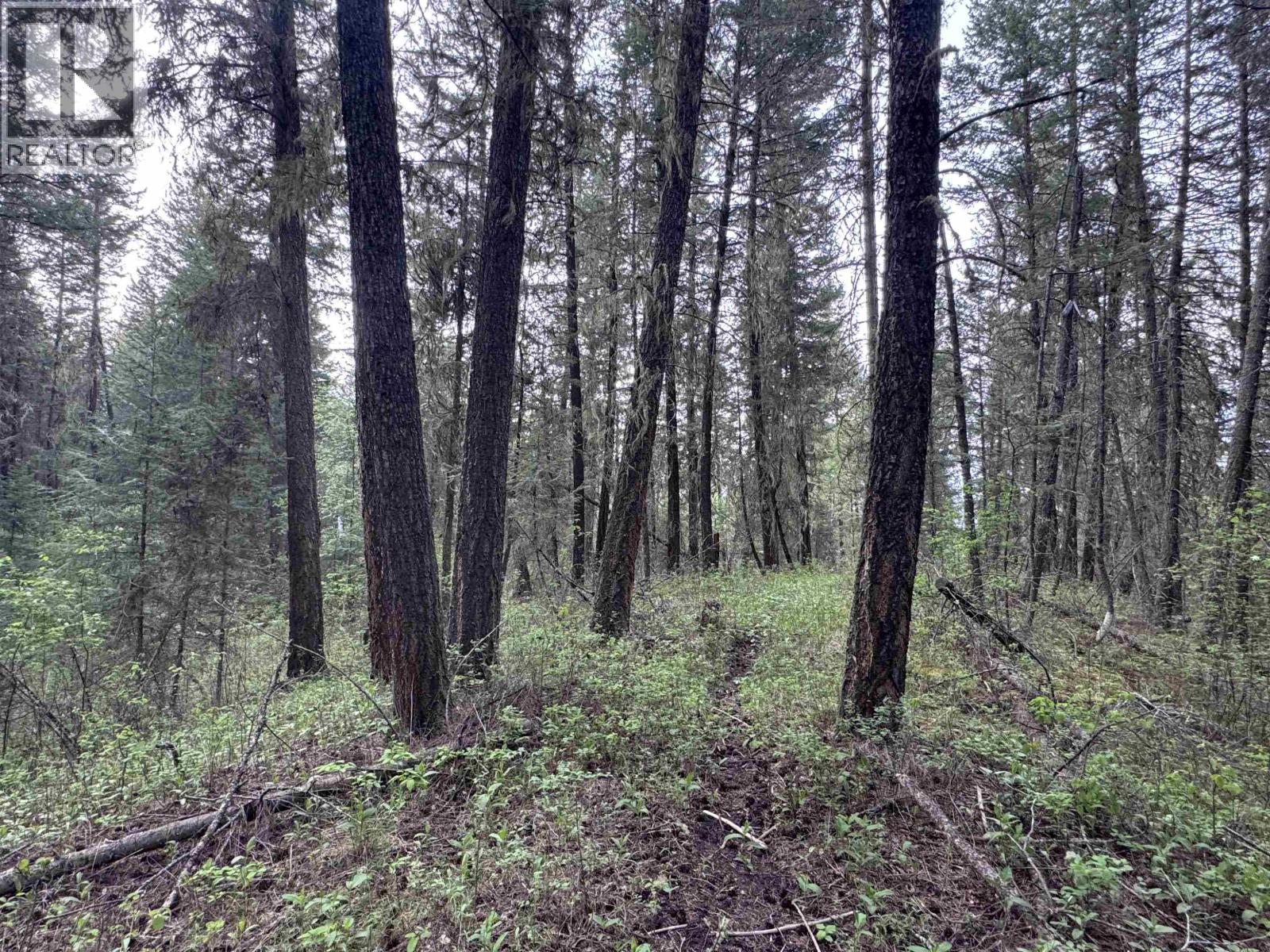 550 DOG CREEK ROAD