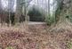 Additional image 7 of Weston Lane, Shavington
