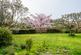 Additional image 2 of Beacon, Honiton, Devon EX14